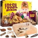 Dan&Darci Çocuklar için Gerçek Fosil Kazma Kiti - 8-12 Yaş Erkek ve Kız Çocukları için Mega Bilim Kitleri - 8, 9, 10, 11, 12 Yaş Erkek veya Kız Çocuk için Doğum Günü Hediyesi Fikirleri - Fosiller 8-13 Yaş İçin