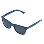 Daniel Klein DK3030COL06 Erkek Güneş Gözlüğü