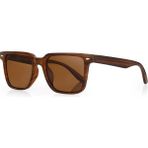 Daniel Klein DKS.1.3295.COL02 Erkek Güneş Gözlüğü - Kahverengi