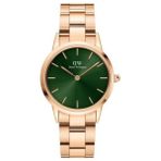 Daniel Wellington DW00100420 Kadın Kol Saati