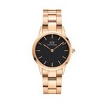 Daniel Wellington DW00600212 Kadın Kol Saati
