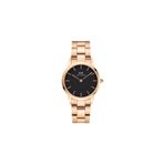 Daniel Wellington DW00600214 Kadın Kol Saat