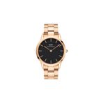 Daniel Wellington DW00600344 Erkek Kol Saati