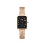 Daniel Wellington DW00600579 Kadın Kol Saati