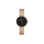 Daniel Wellington DW00600591 Kadın Kol Saati