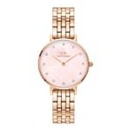 Daniel Wellington DW00600617 Kadın Kol Saati