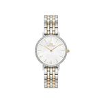 Daniel Wellington DW00600665 Kadın Kol Saati