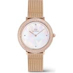 Daniel Wellington DW00600823 Kol Saati - Sedef