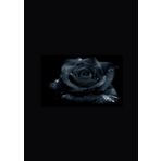 Dark passions: when being friendly goes too far