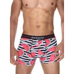 Darkzone DZN2061 Erkek Boxer