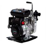 Datsu DBP-15 1.5 INC Klasik Seri Benzinli Siyah Su Motoru