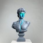 Davıd Pastel Pop Art Dekoratif Roma Yunan Heykelleri