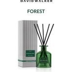 David Walker Forest Ortam Kokusu 250ml