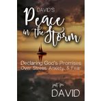 David's Peace in the Storm: Declaring God's Personalized Promises Over Stress, Anxiety, and Fear