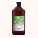 Davines Besleyici ve Nemlendirici Renewing Conditioning Treatment 1000 ml Saç Kremi