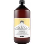 Davines Organic Davines Natural Tech Purifying Anti-Dandruff 1 lt Şampuan