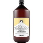 Davines Organic Davines Natural Tech Purifying Anti-Dandruff 1 lt Şampuan