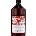 Davines Wegan Eva Dökülme Önleyici Energizing 1000 ml Şampuan