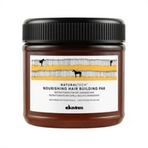 Davines Yapılandırıcı 250 ML Saç Bakım Maskesi