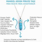 Day Turkuaz (Firuze) Taşı Erkek Kadın Uniex Kolye Çivi Şeklinde Doğaltaş Kolye (Hediye Kutulu) Kolyecı000117