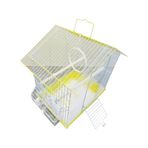 Dayang İki Kapılı Davul Muhabbet Kafes Gold 30X23x39