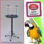 Dayang Papağan Eğitim Sehbası 70X145