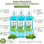 Daycare Alkolsüz Ağız Bakım Suyu 290 ml 3'lü