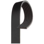 Dayco 6PK1733 Kanallı V Kayışı