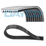 Dayco 8PK1425HD Kanallı V Kayısı