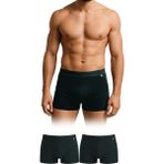 Dayco Premium Bambu Erkek Boxer Füme Renk Ikili Paket - BBX102-L-FUME-CIFT
