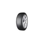 Dayton 205/50 R17 93V XL DW510 Evo Kış Lastiği 2025