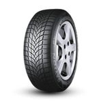 Dayton 205/50R17 DW510E 93V XL Kış Lastiği