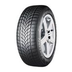 Dayton 205/55 R16 91H DW510E Kış Lastiği