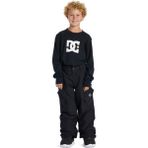 Dc Banshee Youth Pant Erkek Çocuk Siyah Snowboard Pantolonu - 14 Yaş
