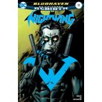 DC Universe Rebirth Nightwing #13 (2017) 1st Printing