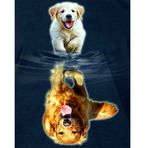 DCIDBEI Diamond Painting Kare Taşlar 40 x 50 cm Kare Matkap Elmas Boyama Köpek Yavrusu Elmas Boyama Köpek Golden Retriever Köpek Ayna Resmi Elmas Boyama Köşeli Taşlar Mozaik Boyama