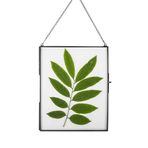 DÉCOCO 25 x 20 cm Siyah Asılı Yüzer Cam Fotoğraf Çerçevesi Duvar Altın Geometrik Süsleme Bitki Numune Klipsi Modern Dikey Dekor Kart Sanat Sertifika Resim Ekran Tutucu，Sadece Cam Çerçeve