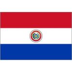 d&d Plus Paraguay Gönder Bayrağı 150 x 225 cm