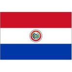d&d Plus Paraguay Gönder Bayrağı 70 x 105 cm