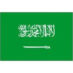d&d Plus Suudi Arabistan Gönder Bayrağı 70 x 105 cm