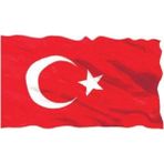 d&d Plus Türk Bayrağı 1.sınıf Parlak Raşhel Kumaş 2x3 Metre 200X300