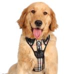 DDD Dokuma Çekme Köpek Koşum Takımı, Tasma ve Saplı Ayarlanabilir Köpek Koşumları, Boğulma Köpek Göğüs Koşum Takımı, Kolay Yürüyüş Köpek Koşum, Yürüyüş Yürüyüşü Eğitimi için Yansıtıcı Köpek Yelek Koşum