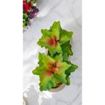 Ddtrend Yapay Kaktüs Echeveria Rosea Enrica Sukulent Bej Saksılı Yeşil Renk 11 Cm.