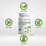 Deal Supplement Cognizin Sitikolin Cdp Choline Nootropic B Vitamin Brain Health Memory - 120 KAPSÜL