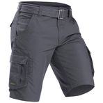 Decathlon Forclaz 100 Travel Erkek Gri Şort