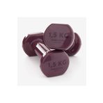 Decathlon Tek Ebat Domyos 1,5 Kg Dambıl X2 - Fitness Hafif Antrenman Dambıl Seti Mor 1,5 Kg Döküm
