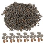 DECHOUS 1 Masa Peyzaj Taşları Diorama Taş Malzeme Kiti Küçük Bahçe Kayaları Taş Düzeni Akvaryum Balık Tankı Süslemeleri Minyatür Kayalar Malzemesi Mini Çakıl Taşları Bahçe Taşı