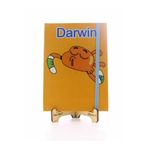 Deco Elit Lastikli Noktalı Sert Kapak Darwin ve Gumball Defter