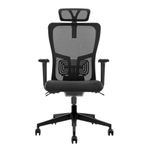 Decofis Lumbar Plus Fileli Yönetici Koltuğu
