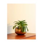 Decor Impex Aurea Metal Saksı Büyük Boy Sarı